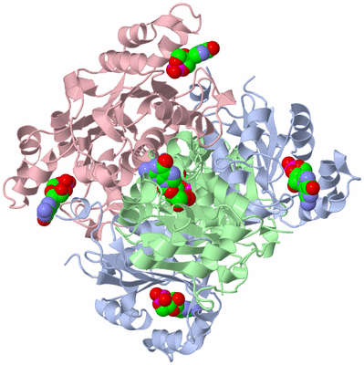 Image Biological Unit 1