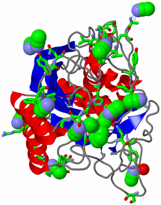 Image Asym./Biol. Unit - sites