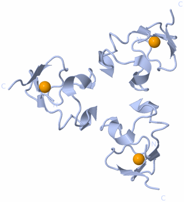 Image Biological Unit 1