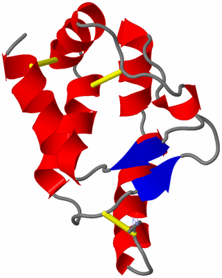 Image NMR Structure - model 1