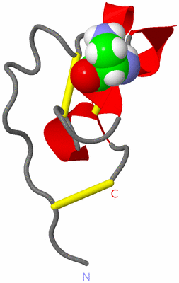 Image NMR Structure - model 1