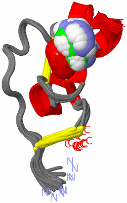 Image NMR Structure - all models