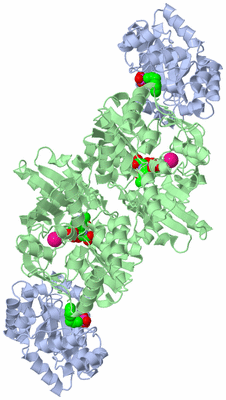 Image Biological Unit 1