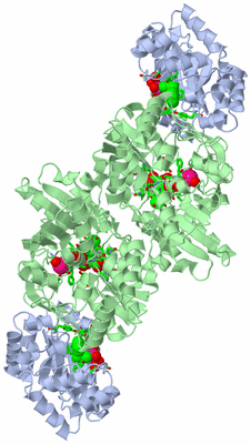 Image Biol. Unit 1 - sites