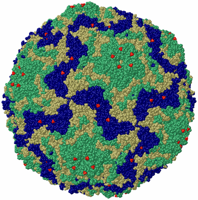 Image Biological Unit 1