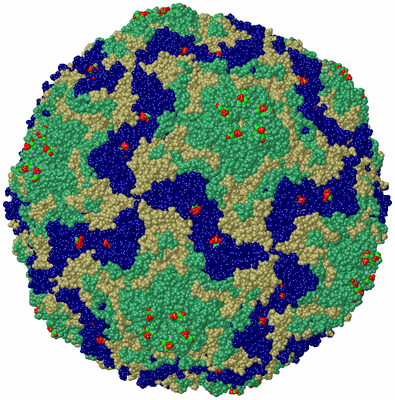 Image Biol. Unit 1 - sites