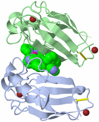 Image Biological Unit 1