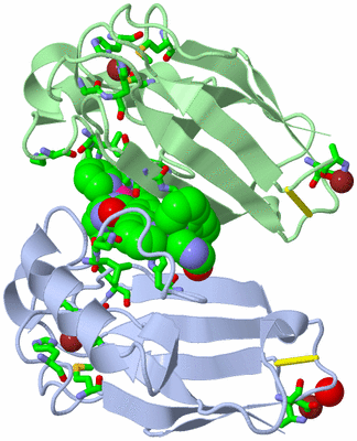 Image Biol. Unit 1 - sites