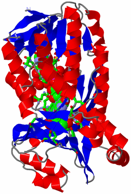 Image Asym. Unit - sites