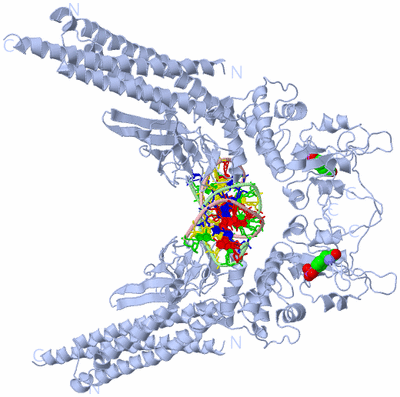 Image Biological Unit 1