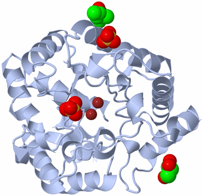 Image Biological Unit 1