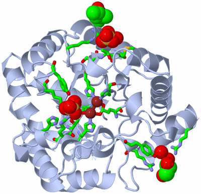 Image Biol. Unit 1 - sites