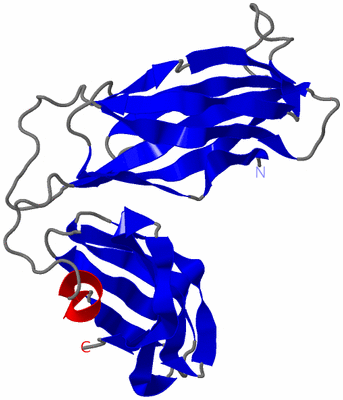 Image NMR Structure - model 1