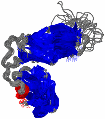 Image NMR Structure - all models