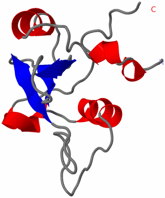 Image NMR Structure - model 1