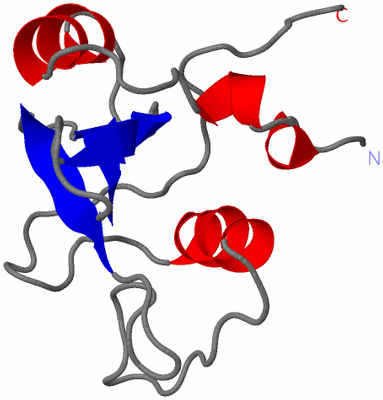 Image NMR Structure - model 1