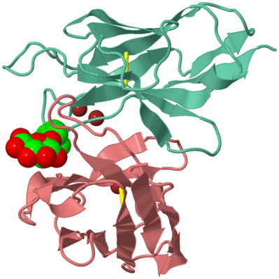 Image Biological Unit 1