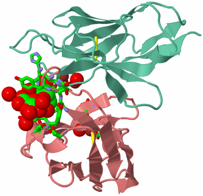 Image Biol. Unit 1 - sites