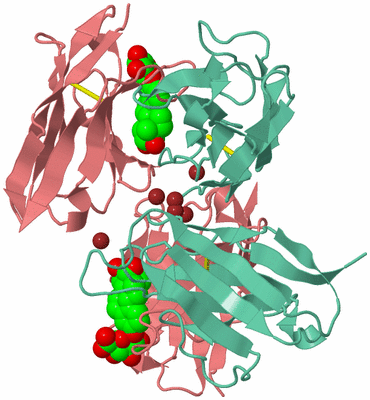 Image Biological Unit 2