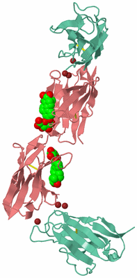 Image Biological Unit 3