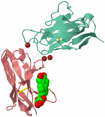 Image Biological Unit 4