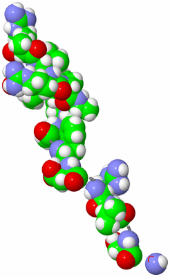 Image NMR Structure - model 1