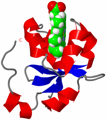 Image NMR Structure - all models