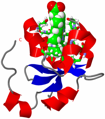 Image NMR Structure - model 1, sites
