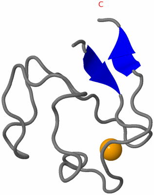 Image NMR Structure - model 1