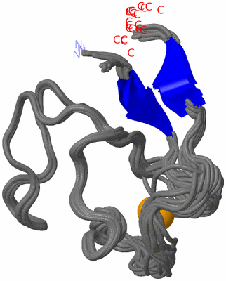 Image NMR Structure - all models