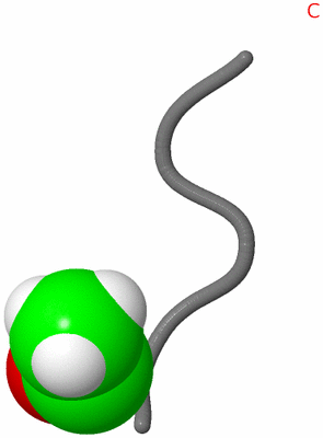 Image NMR Structure - model 1