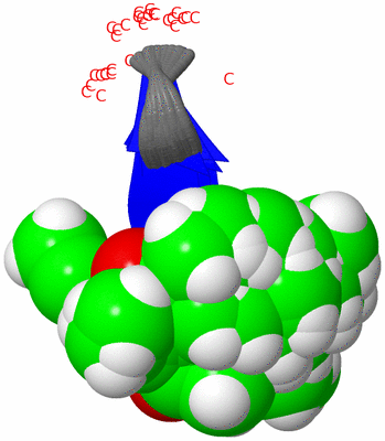 Image NMR Structure - all models