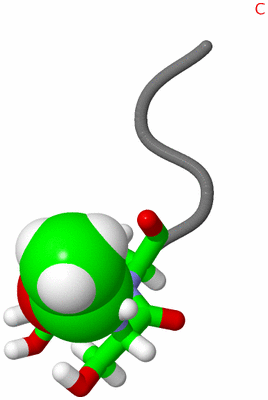 Image NMR Structure - model 1, sites