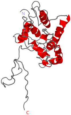 Image Asymmetric Unit