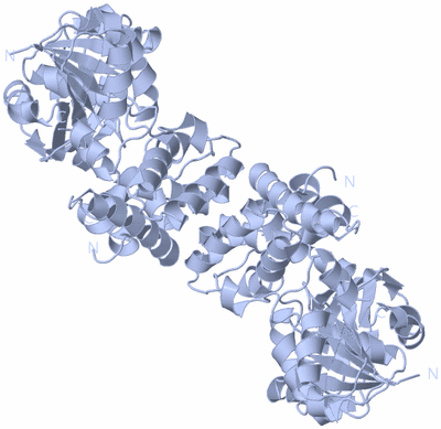 Image Biological Unit 1