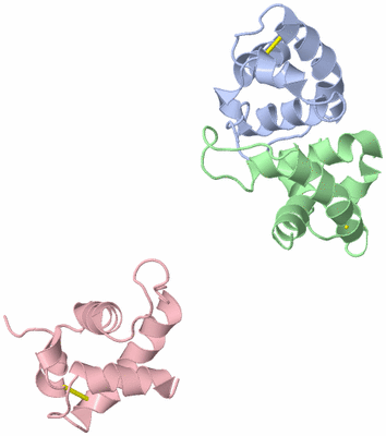 Image Asymmetric Unit
