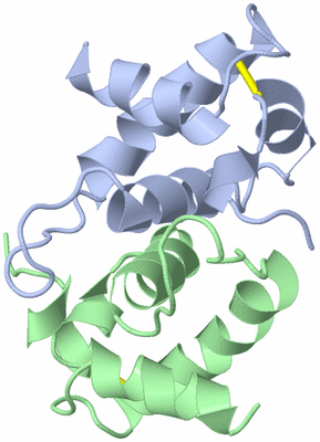 Image Biological Unit 1