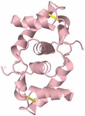 Image Biological Unit 2
