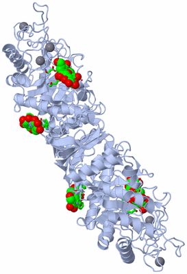 Image Biol. Unit 1 - sites