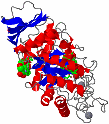 Image Asym. Unit - sites