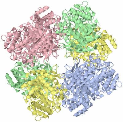 Image Biological Unit 1