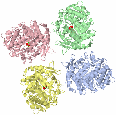 Image Asymmetric Unit