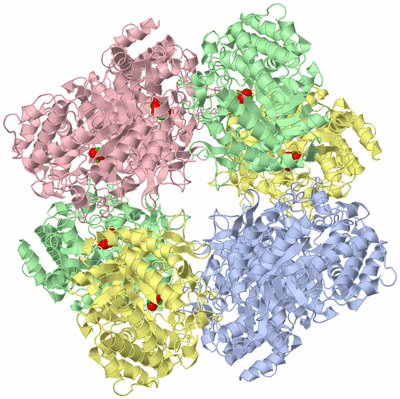 Image Biological Unit 1