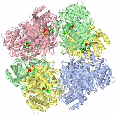 Image Biol. Unit 1 - sites