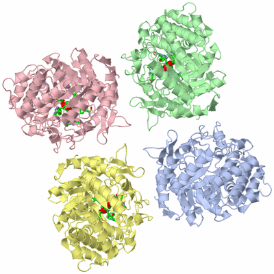 Image Asym. Unit - sites