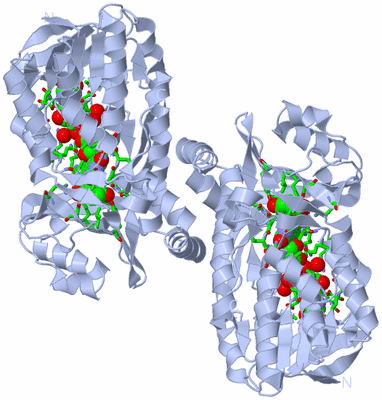 Image Biol. Unit 1 - sites
