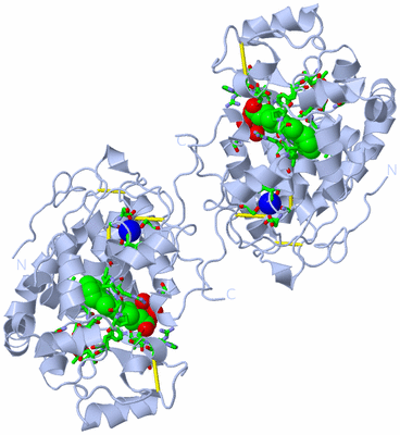 Image Biol. Unit 1 - sites