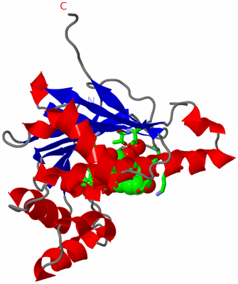 Image Asym. Unit - sites