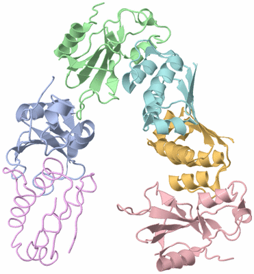 Image Asymmetric Unit