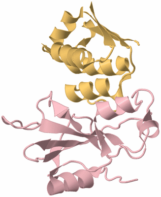 Image Biological Unit 3